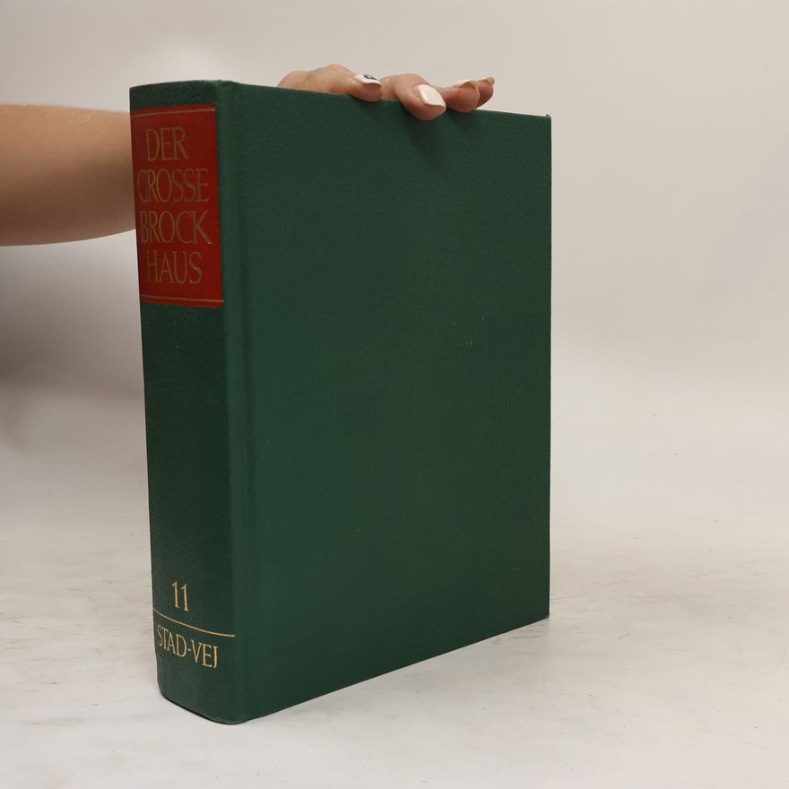 Autorenkollektiv Der grosse Brockhaus 11. Stad-Vei