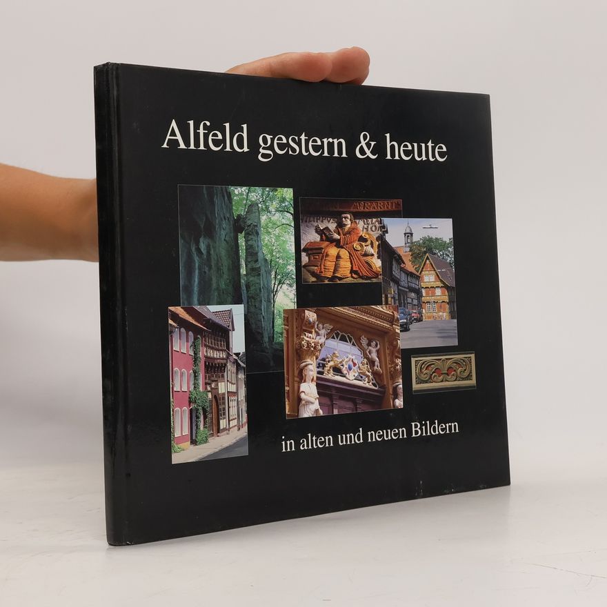 Autorenkollektiv Alfeld gestern & heute in alten und neuen Bildern