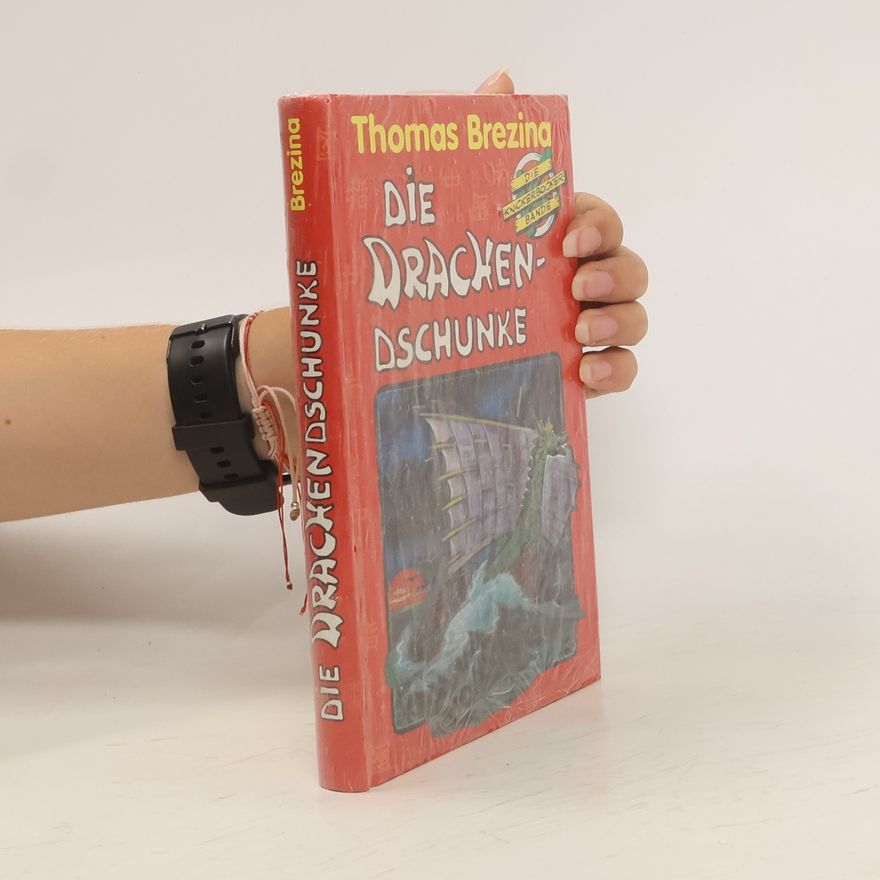 Thomas Brezina Die Drachendschunke
