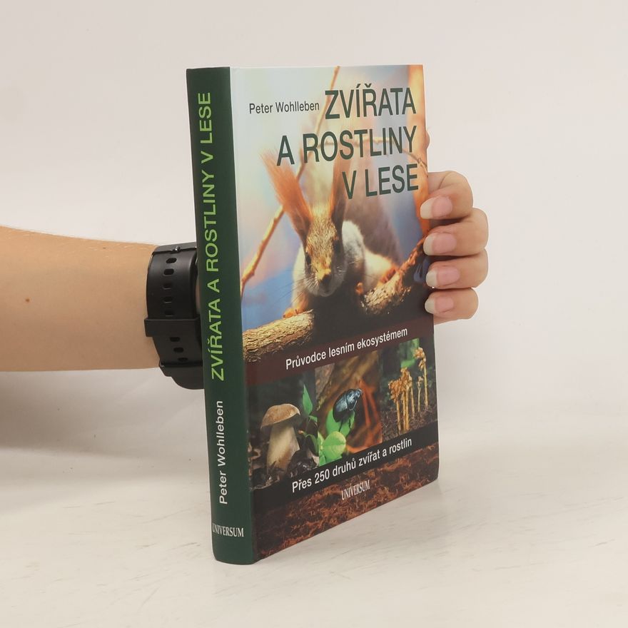 Wohlleben Peter Zvířata a rostliny v lese
