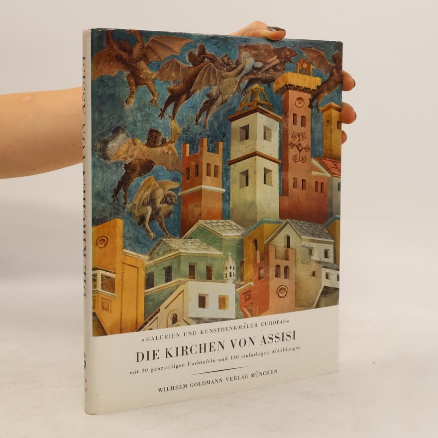Dino Formaggio Die Kirchen von Assisi
