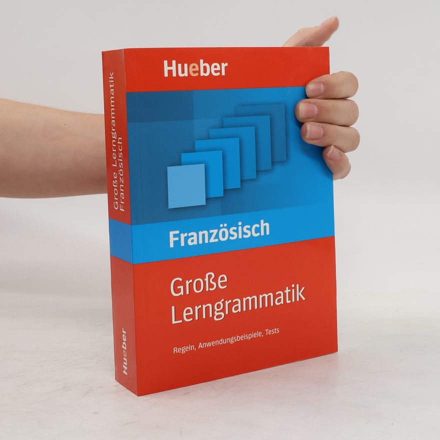 Nicole Laudut Große Lerngrammatik Französisch
