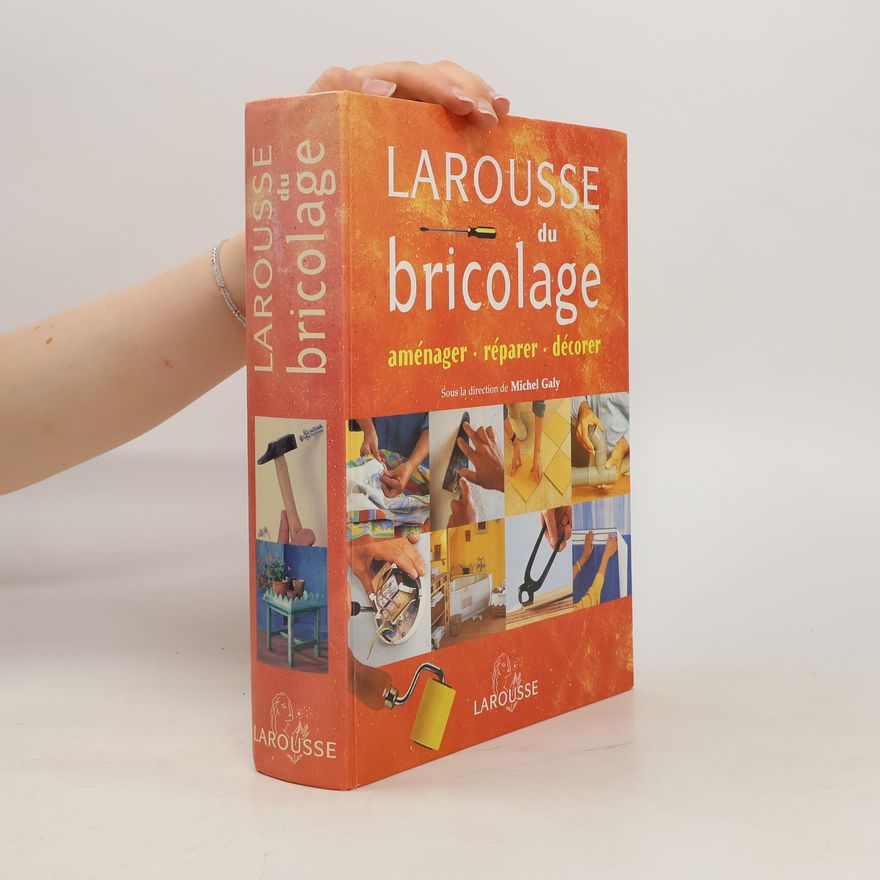 Michel Galy Larousse du bricolage