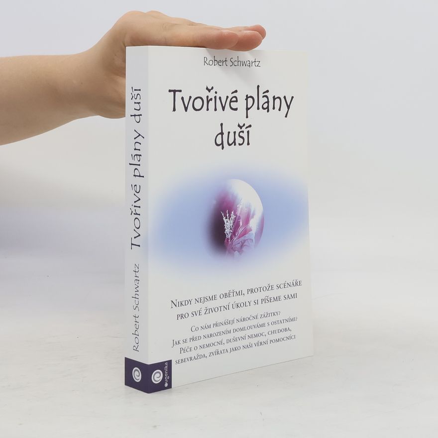 Robert Schwartz Tvořivé plány duší