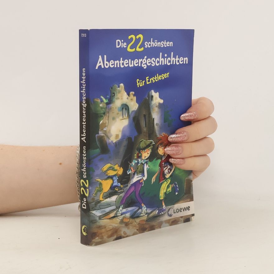 Kolektiv autorů Die 22 schönsten Abenteuergeschichten für Erstleser