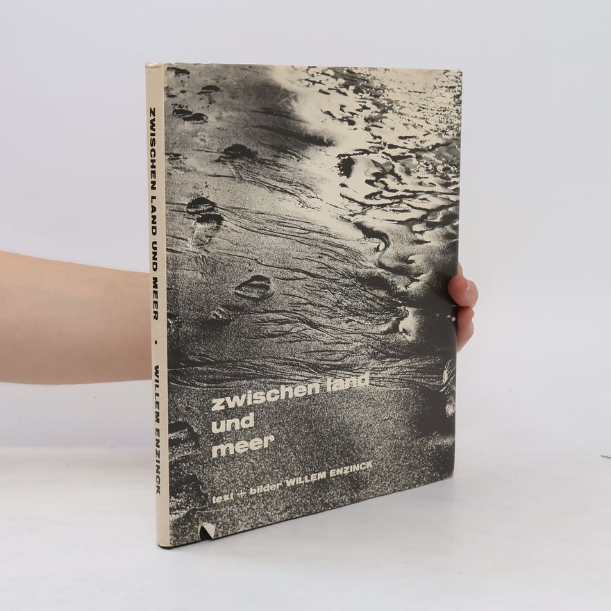 Willem Enzinck Zwischen Land und Meer