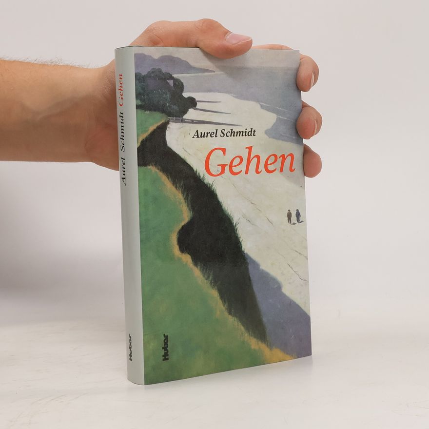 Aurel Schmidt Gehen
