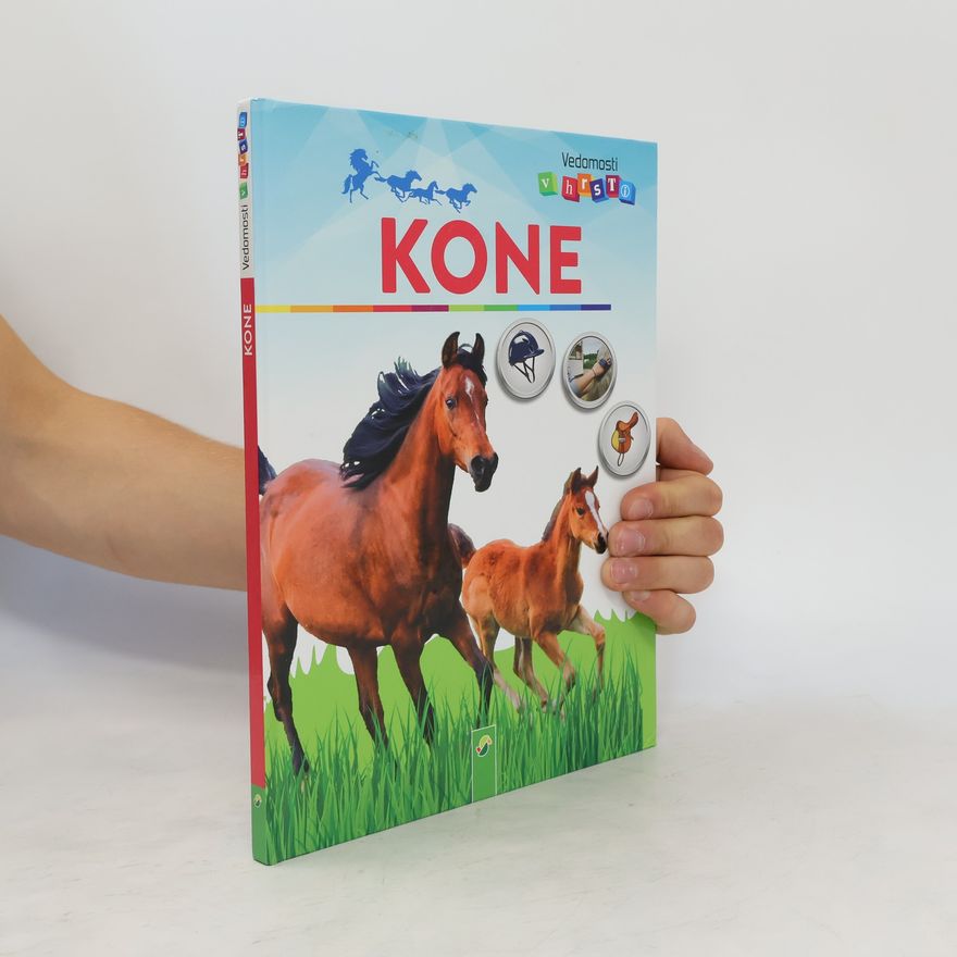 Anja Schriever Kone