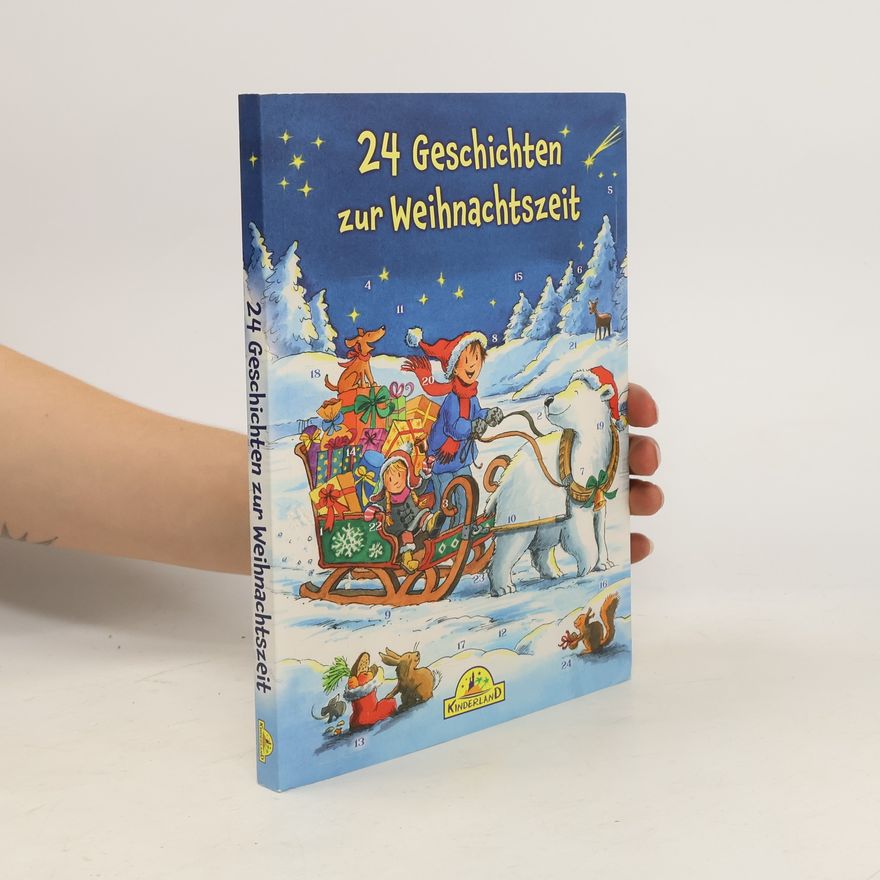 Autorenkollektiv 24 Geschichten zur Weihnachtszeit