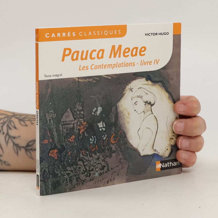 Victor Hugo Pauca Meae