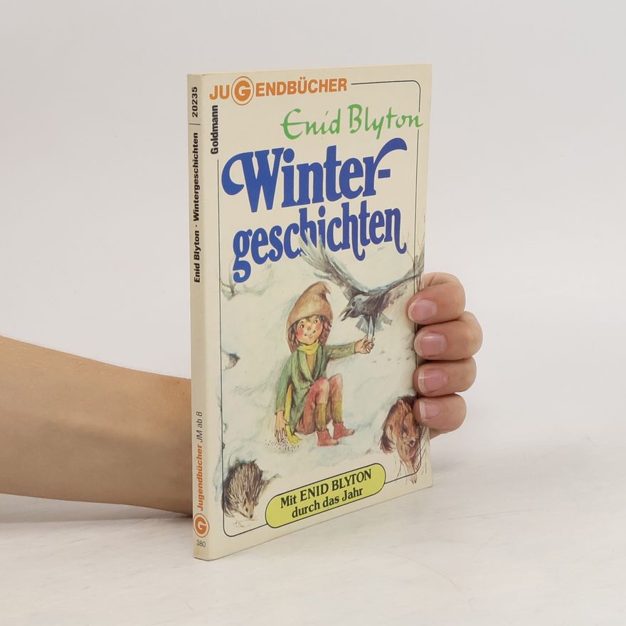Enid Blyton Wintergeschichten