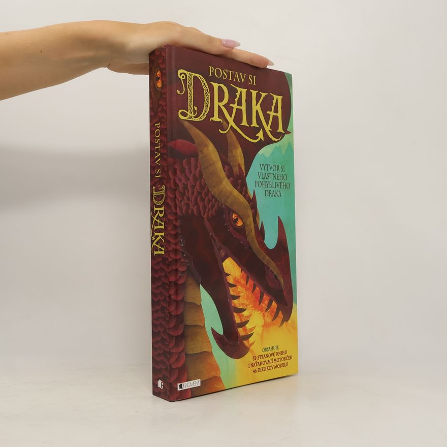 Kolektiv autorů Postav si draka