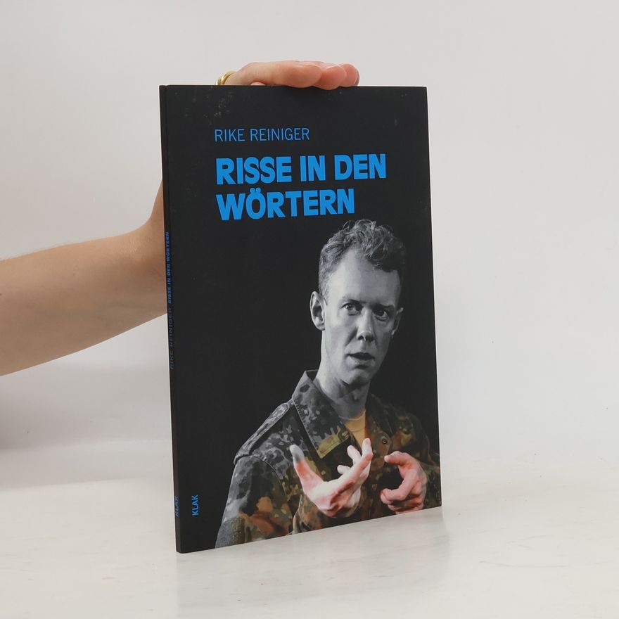 Rike Reiniger Risse in den Wörtern