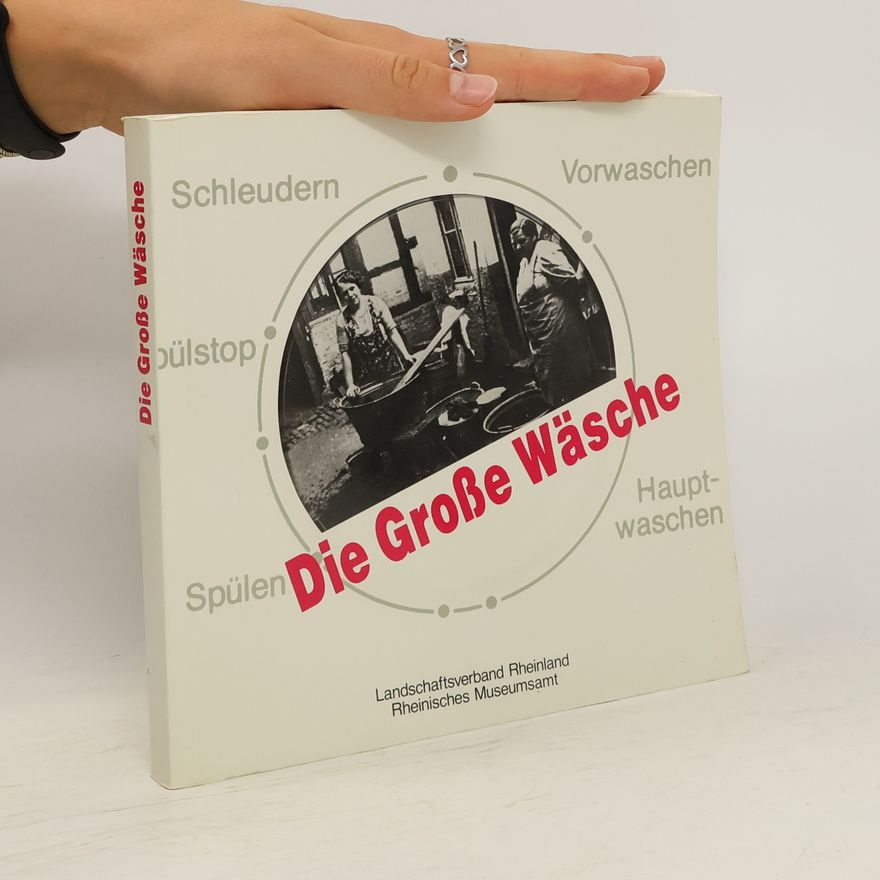 Elisabeth Helming Die grosse Wäsche