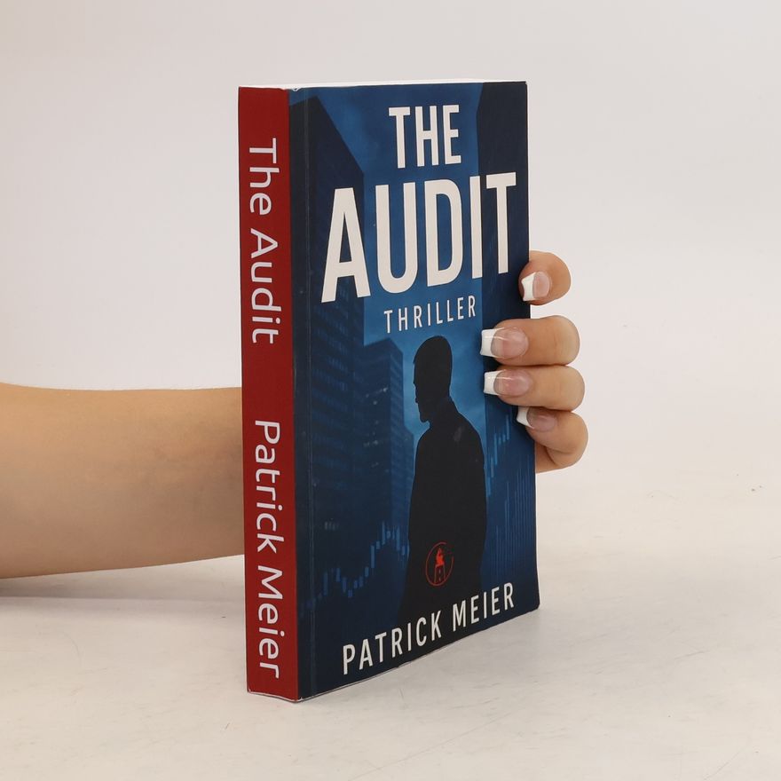 Patrick Meier The Audit: Eine Agentur. Ein Audit. Kein Ausweg.