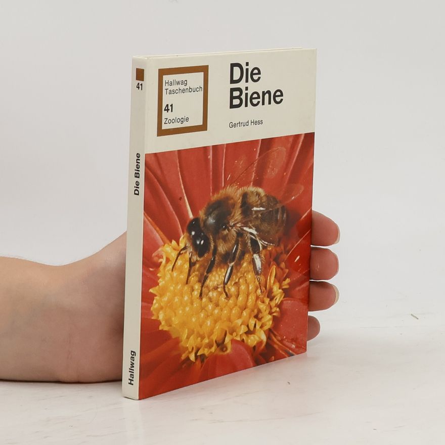 Gertrud Hess Die Biene