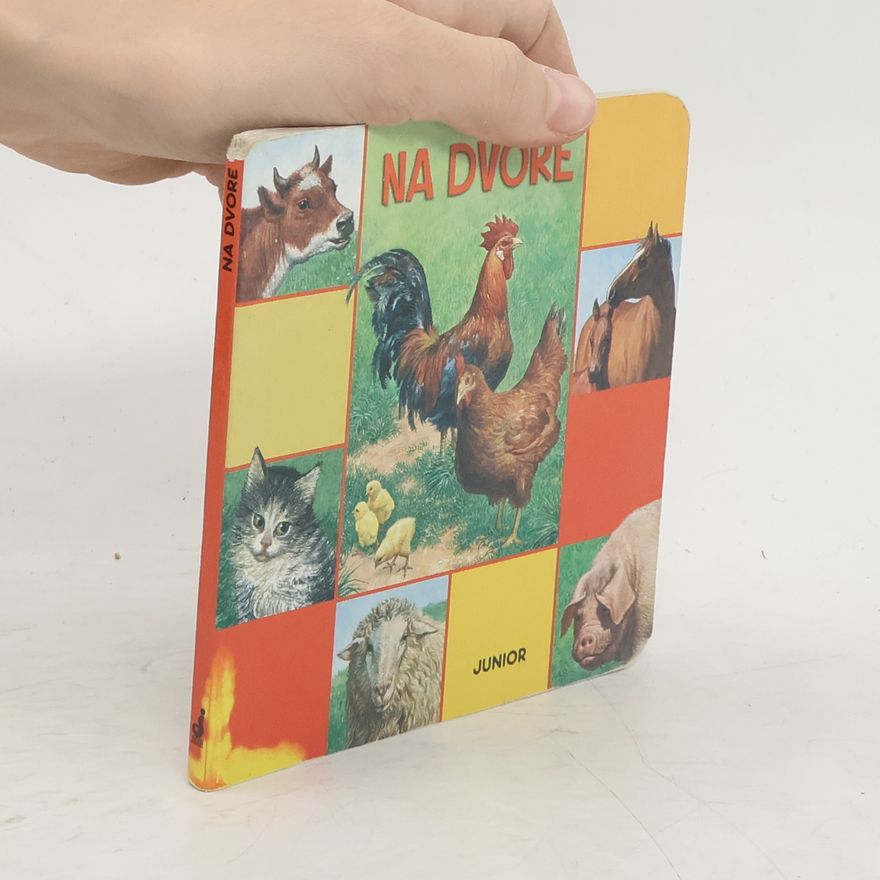 Autores varios Na dvore