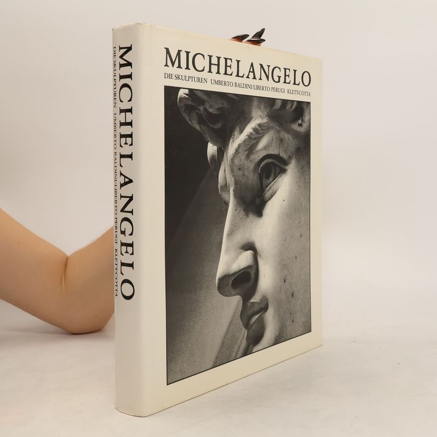Michelangelo Michelangelo