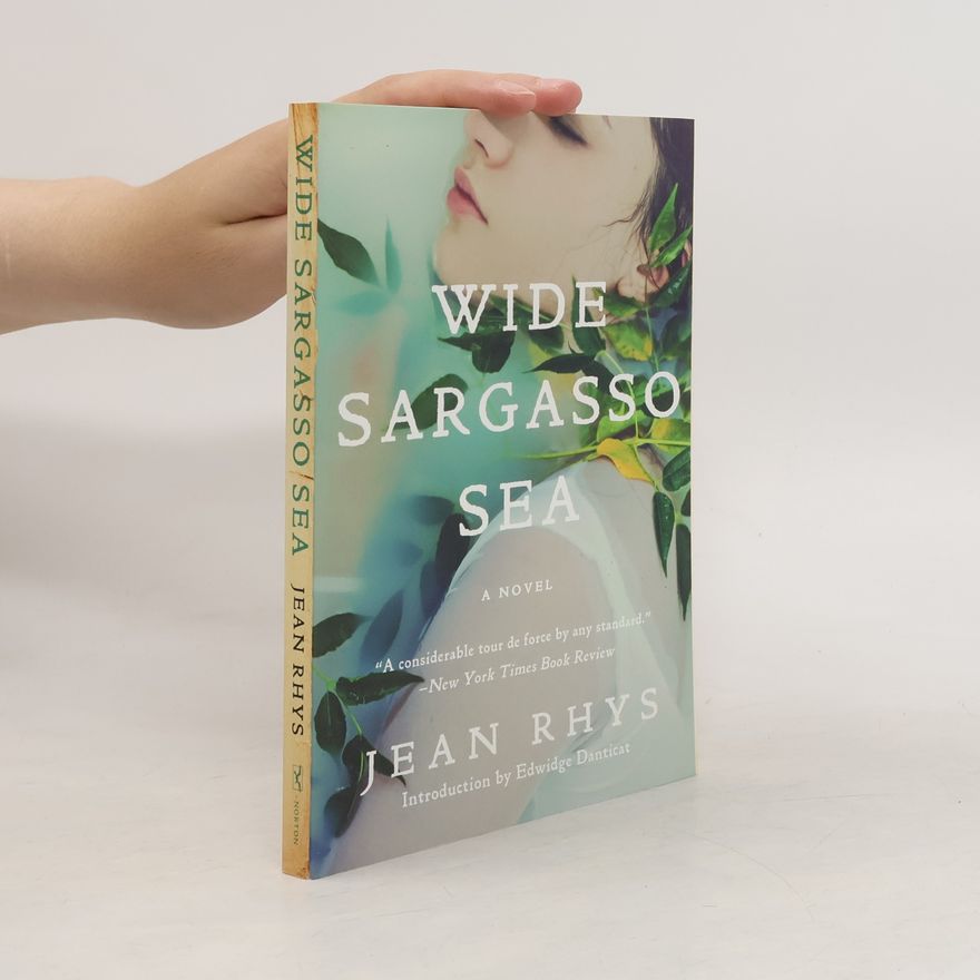 Jean Rhys Wide Sargasso Sea