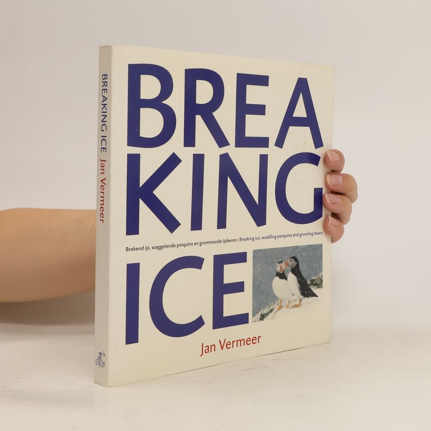 Jan Vermeer van Delft Breaking Ice