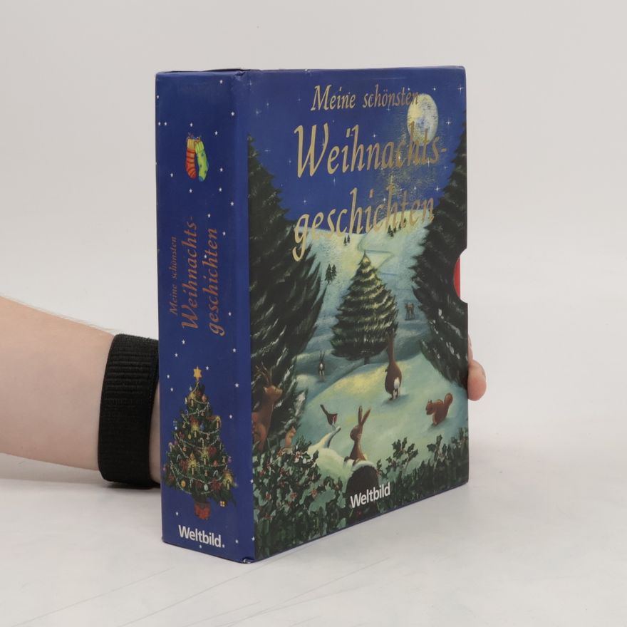 Autorenkollektiv Meine schönsten Weihnachtsgeschichten box