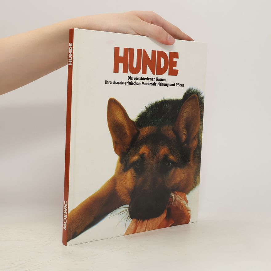 Lydia Daum Hunde