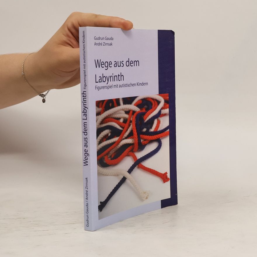 André Zirnsak Wege aus dem Labyrinth