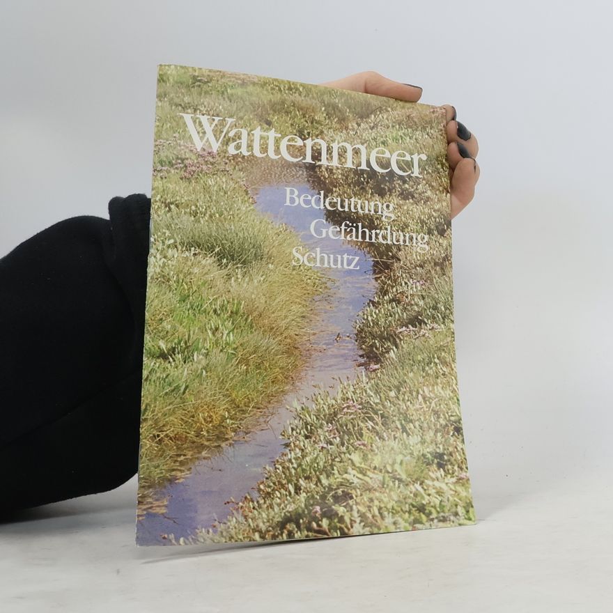Berndt Heydemann Wattenmeer