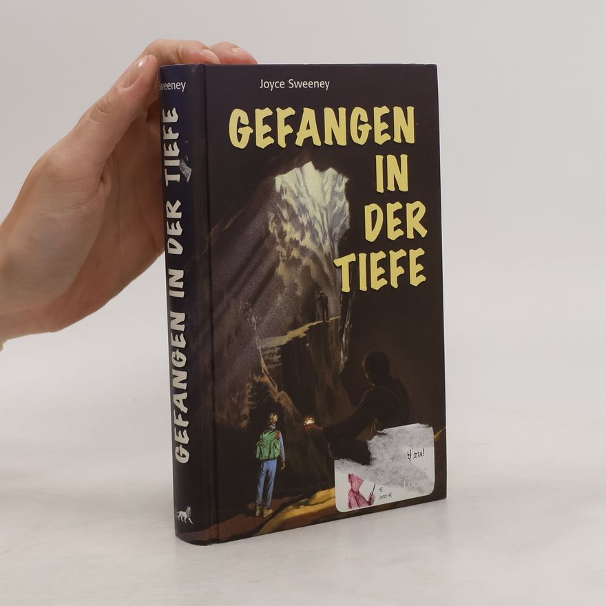Joyce Sweeney Gefangen in der Tiefe