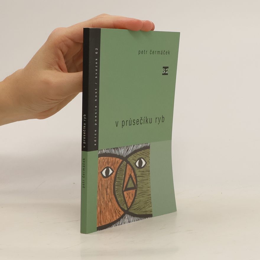 Petr Čermáček V průsečíku ryb : 1998-2001