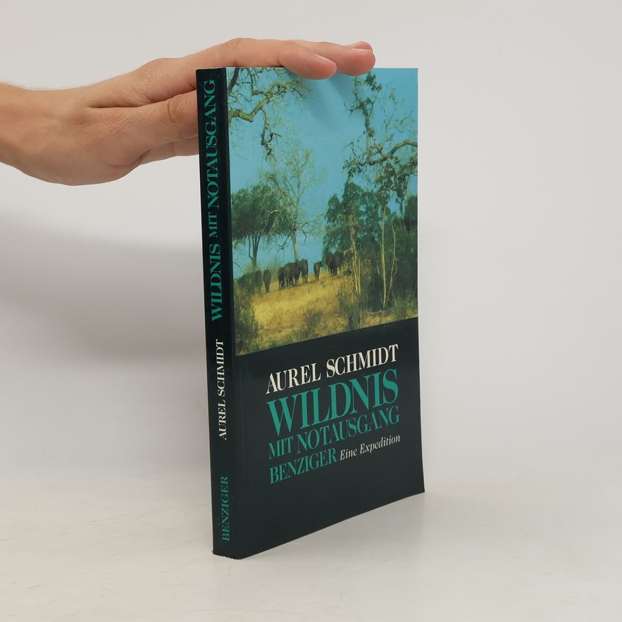 Aurel Schmidt Wildnis mit Notausgang