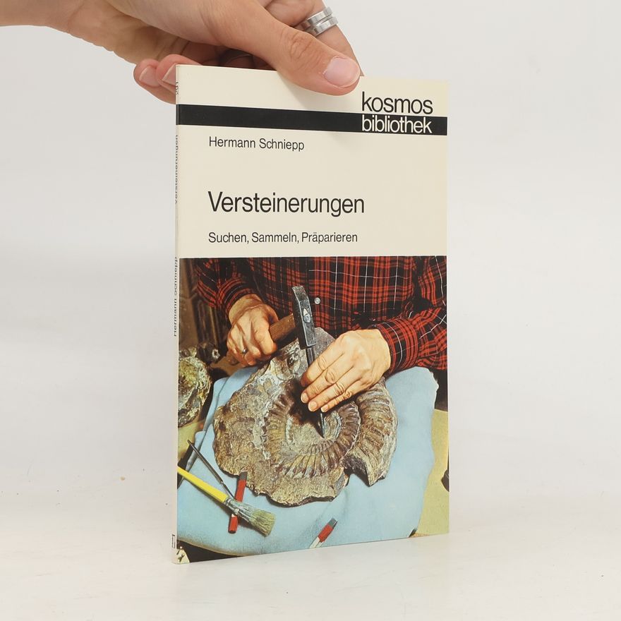 Hermann Schniepp Versteinerungen