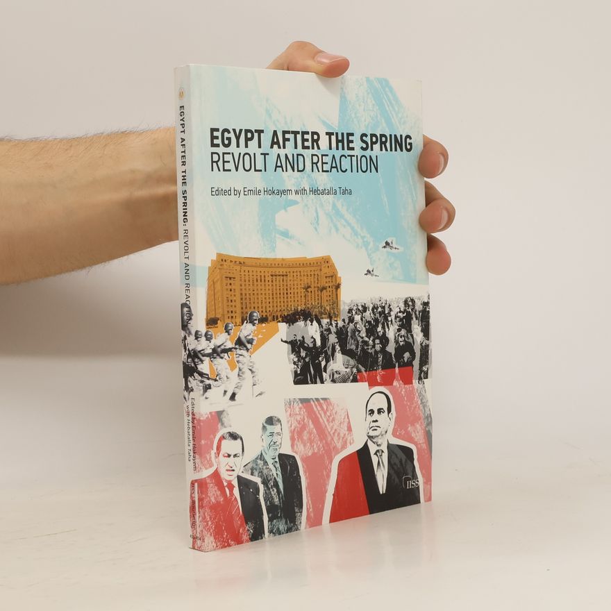 Emile Hoyakem Egypt after the Spring