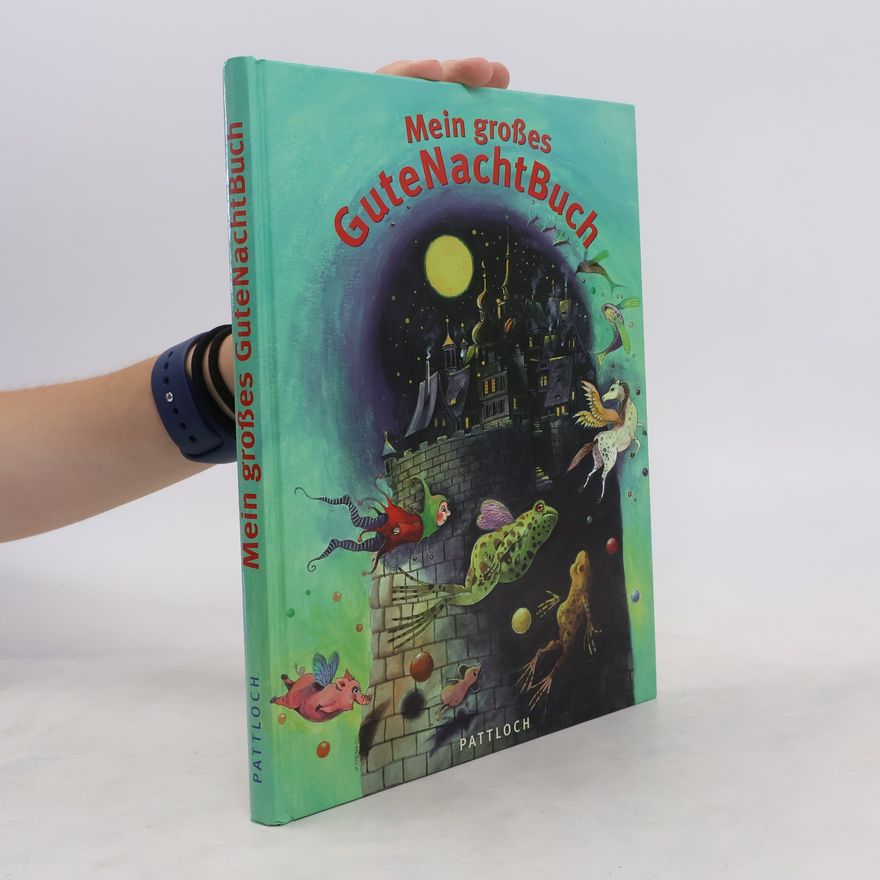 Carola Hoffmann Mein großes GuteNachtBuch
