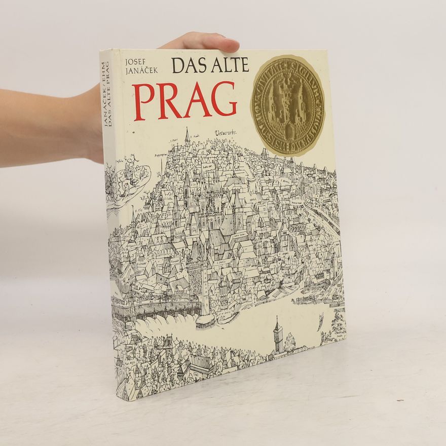 Autorenkollektiv Das Alte Prag