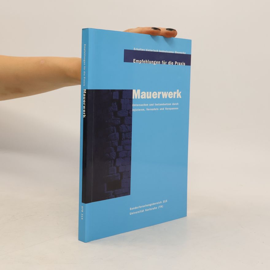 Kolektiv autorů Mauerwerk