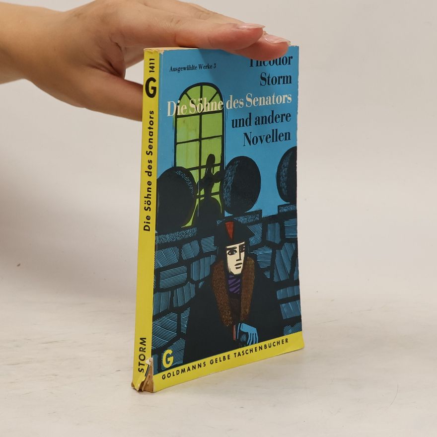 Theodor Storm Die Söhne des Senators und andere Novellen