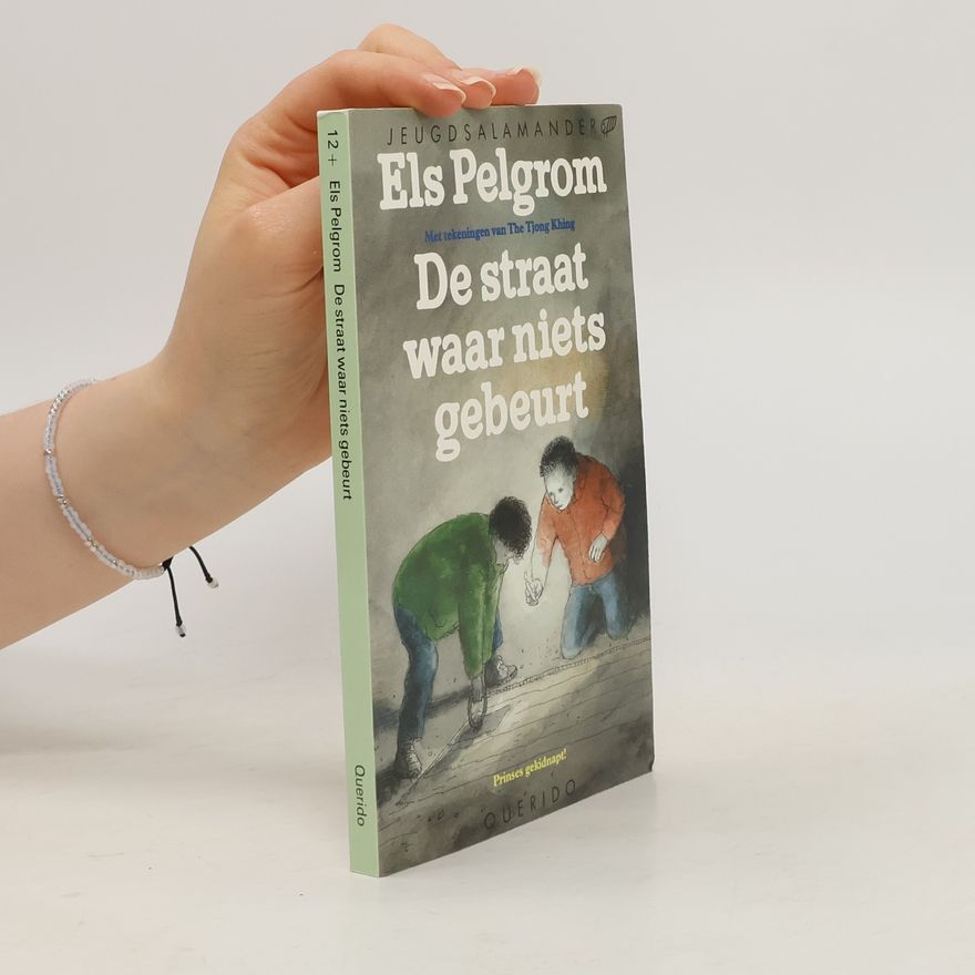 Els Pelgrom De straat waar niets gebeurt
