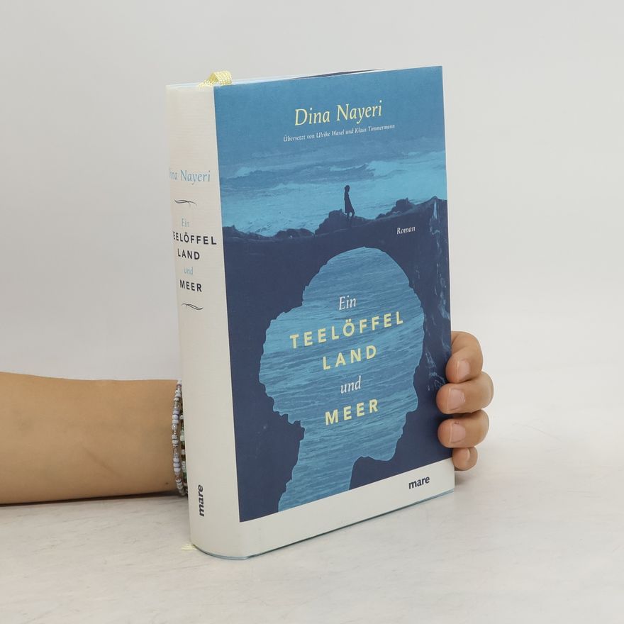 Dina Nayeri Ein Teelöffel Land und Meer