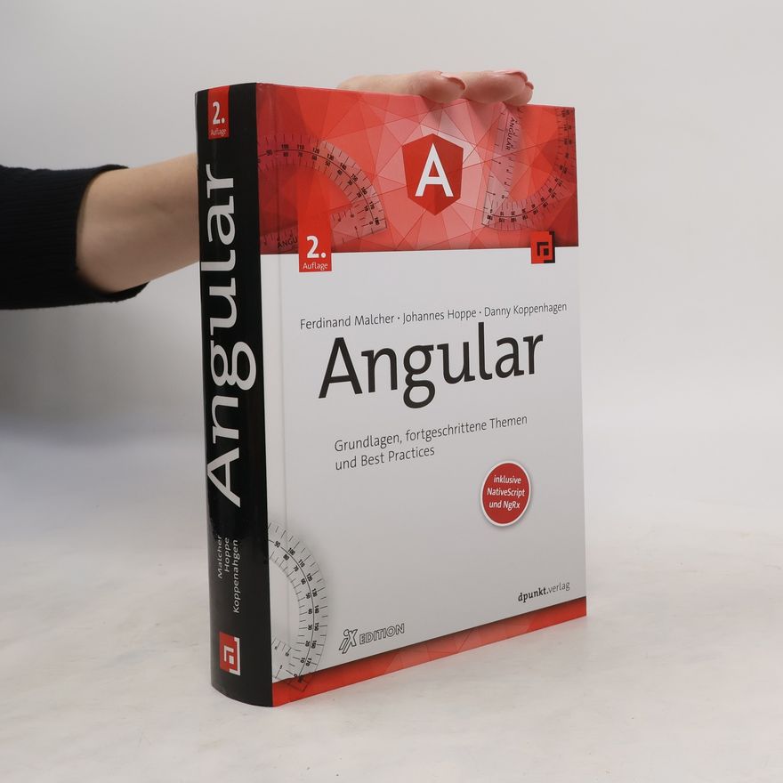 Ferdinand Malcher Angular