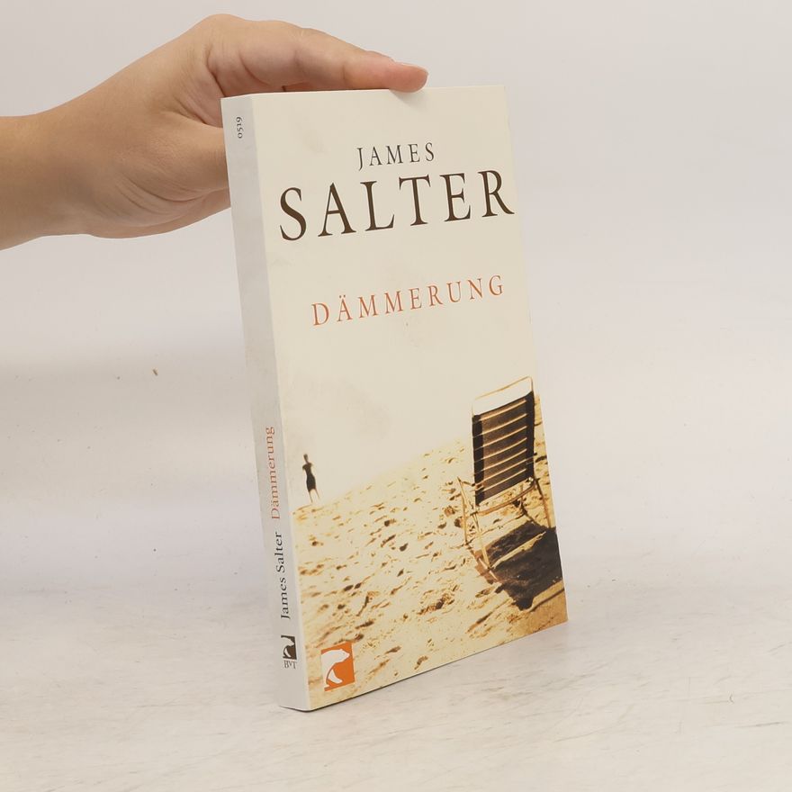 James Salter Dämmerung und andere Erzählungen
