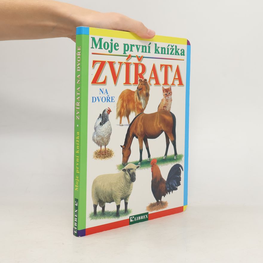 Autorenkollektiv Zvířata na dvoře