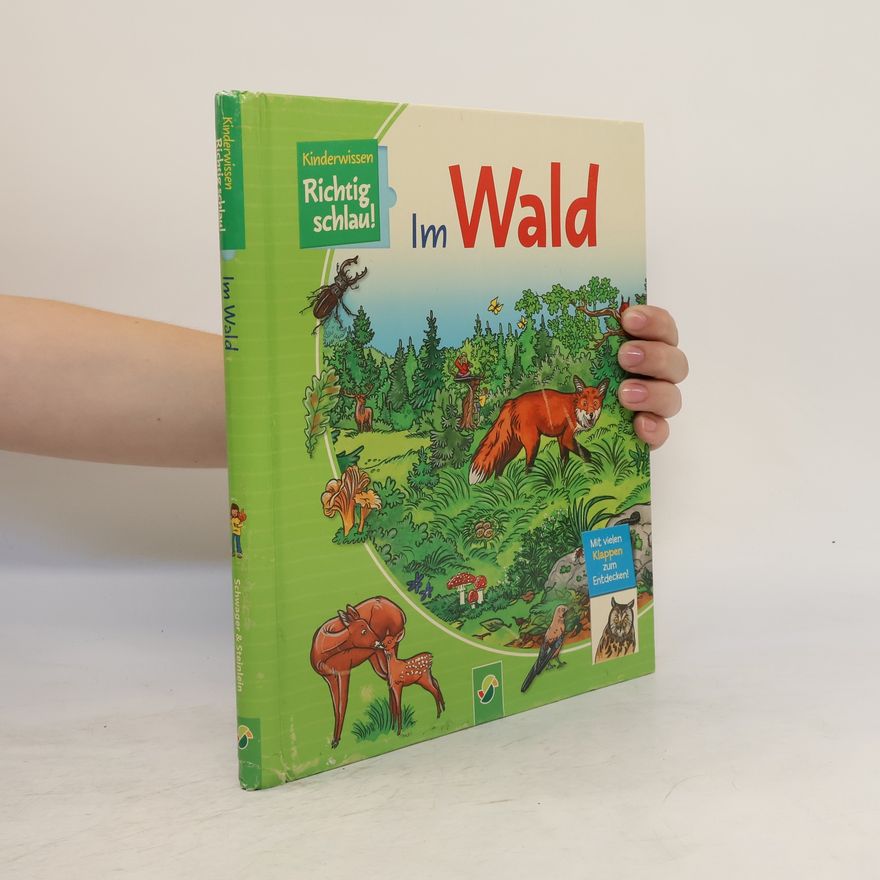 Autorenkollektiv Richtig Schlau! Im Wald