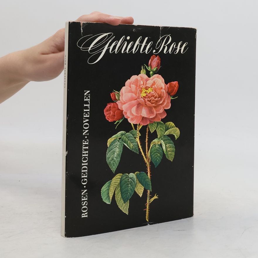 Friedrich Schnack Geliebte Rose