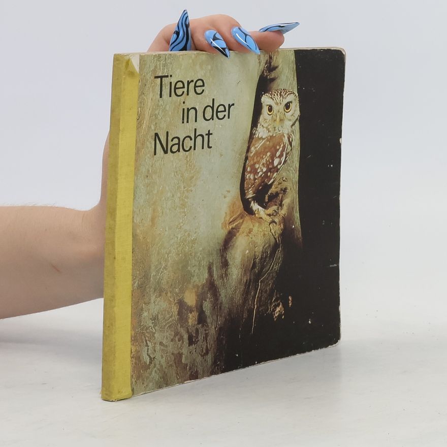 Kolektív autorov Tiere in der Nacht
