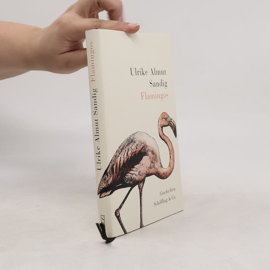 Ulrike Almut Sandig Flamingos