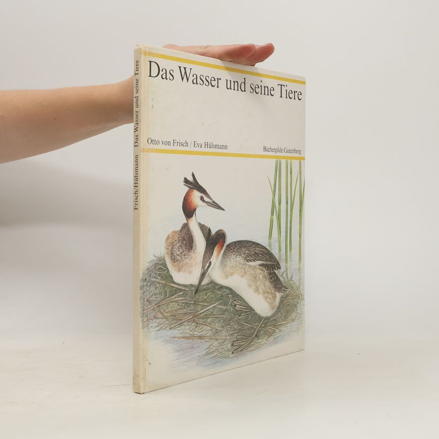 Eva Hülsmann Das Wasser Und Seine Tiere