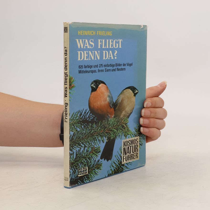 Heinrich Frieling Was fliegt denn da?