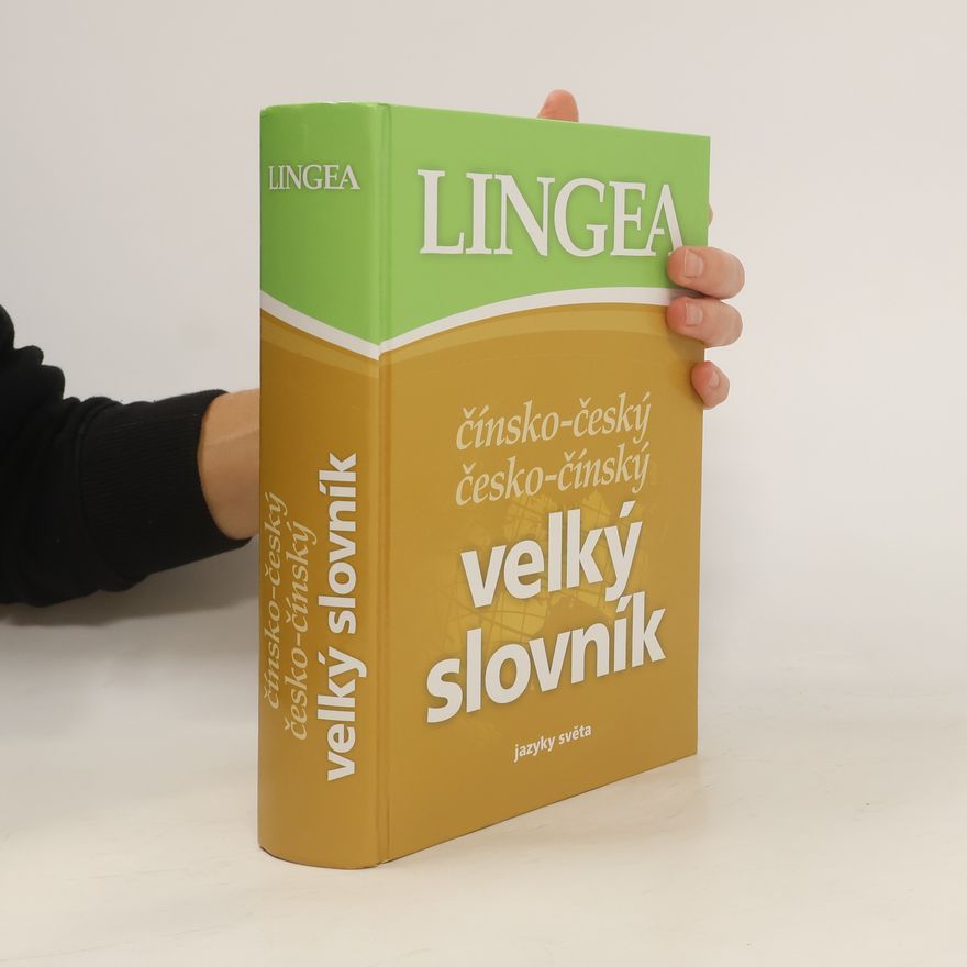 AA.VV. Čínsko-český, česko-čínský velký slovník