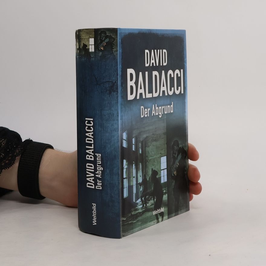 David Baldacci Der Abgrund